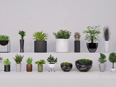 Green Plant Wall Design With Various Potted Plants And Different Planters On Shelves 3d model