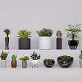 Green Plant Wall Design With Various Potted Plants And Different Planters On Shelves