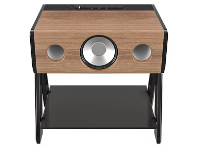 Modern Wooden Audio Speaker Featuring Central Driver And Black Stand Base 3d model