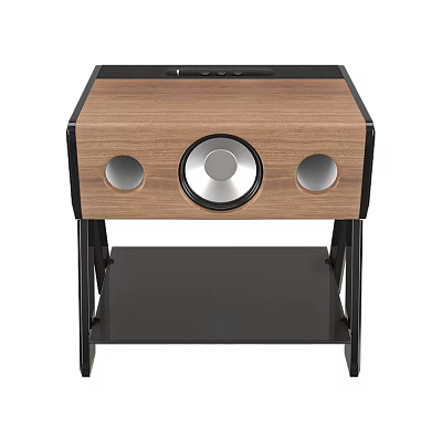 Modern Wooden Audio Speaker Featuring Central Driver And Black Stand Base 3d model