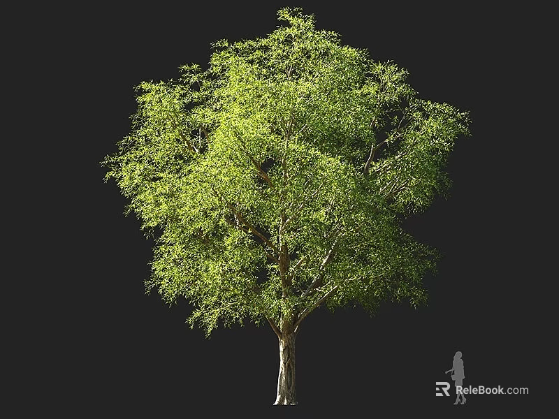 Tall Green Arbor Featuring Lush Foliage Brown Trunk And Human Figure For Size Reference 3d model