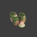 Decorative Bonsai Potted Plants with Lush Green Leaves Hanging Vines and Ceramic Pots