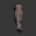 3D Rendered Baby Rhinoceros With Pinkish Gray Appearance On Dark Reflective Surface