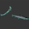 Silver Colored Salmon Fish One Leaping And One Lying On White Background