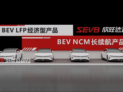 SEVB BEV Electric Vehicles With LFP Economy And NCM Long Range Products 3d model