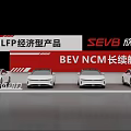 SEVB BEV Electric Vehicles With LFP Economy And NCM Long Range Products