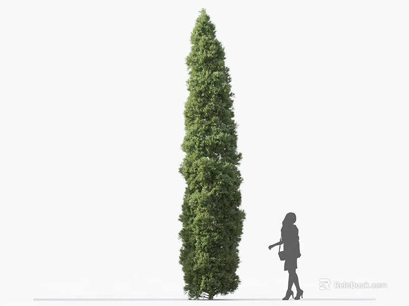 Tall Green Shrub With Woman Silhouette Standing Beside Wearing High Heels Carrying A Bag 3d model 