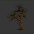 Isolated Leafless Tree With Brown Trunk And Bare Branches On Gray Background