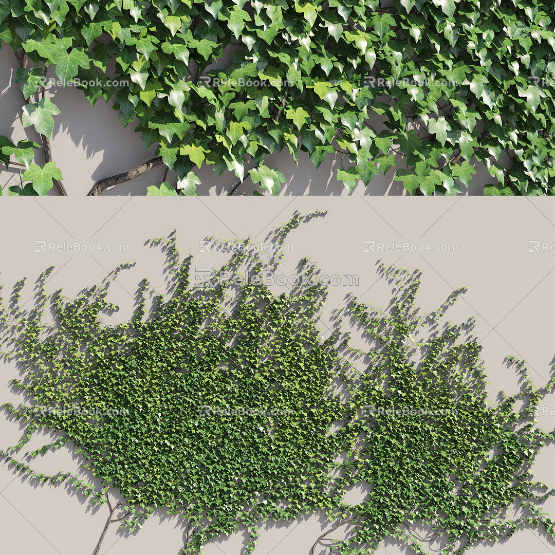 Modern Plant Wall Vine Creeper 3d model