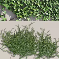 Living Green Plant Wall With Lush Foliage Cover And Decorative Design