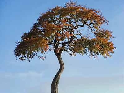 Curved Trunk Tree With Orange And Green Leaves Against Blue Sky With White Clouds 3d model