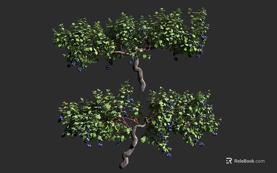 Lush Decorative Vine With Twisted Branches Green Leaves And Blue Berries 3d model 
