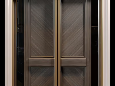 Modern Double Hinged Doors With Wooden Chevron Panel And Bronze Frame Design 3d model