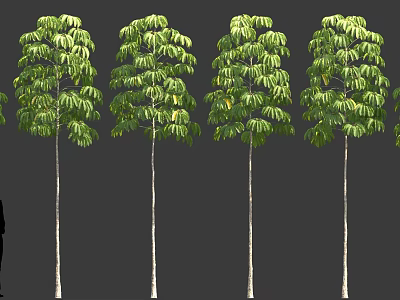 Multiple Green Leafy Shrubs With Tall Stems And Lush Foliage 3d model