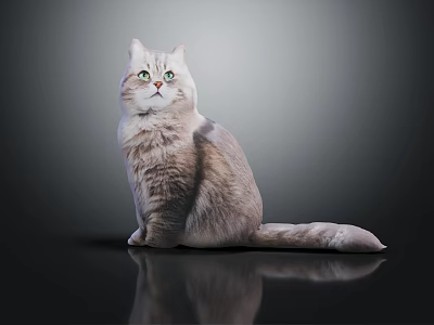 Gray Reptile Lizard Sitting On Black Surface With Green Eyes And Reflection 3d model Gray Reptile Lizard Sitting On Black Surface With Green Eyes And Reflection 3d model