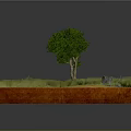 Realistic Landscape Model With Green Tree Grass Stones And Red Base