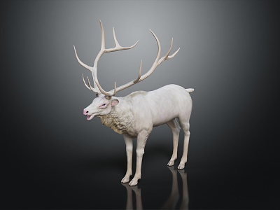 modern deer white deer moose white moose 3d model