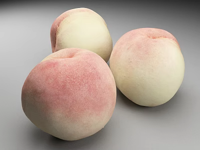 Three Fresh Ripe Peaches with Pink and White Skin on Gray Background 3d model