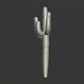 Green Cactus Plant With Textured Arms Standing On Dark Background