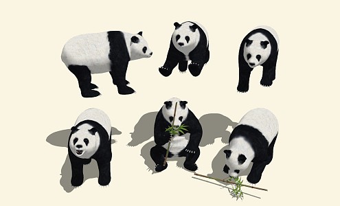 Modern Panda Giant Panda 3d model