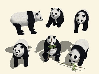 Modern Panda Giant Panda 3d model