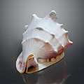 Conch Shell With Spiral Shape Pointed Edges Pink White Textured Surface On Dark Reflective Background 3d model