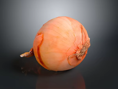 Fresh Peeled Onion Displayed On Dark Background With Shiny Reflection 3d model