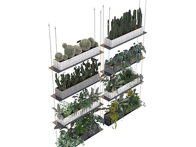 Multi Layer Hanging Plant Shelves With Succulents And Various Green Plants 3d model