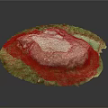 Natural Stone Decorative Piece With Circular Grassy Base And Textured Surface