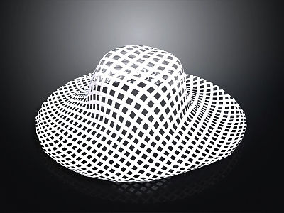 Women's Hat Sun Hat Fashion Hat Women's Hat Topper Hat Women's Hat Bucket Hat Classic Hat 3d model