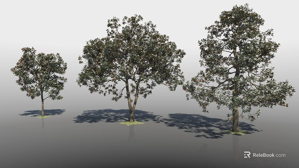 Arbor Trees With Lush Green Foliage Strong Trunks And Natural Shadows In Landscape 3d model 