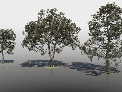 Arbor Trees With Lush Green Foliage Strong Trunks And Natural Shadows In Landscape 3d model