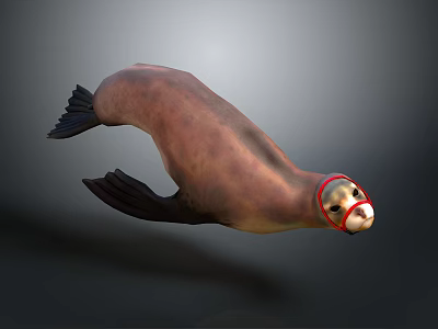 3D Rendered Realistic Sea Lion With Red Head Marking In Dark Background 3d model