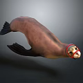 3D Rendered Realistic Sea Lion With Red Head Marking In Dark Background