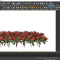 Vibrant Red Flower Shrubs with Lush Green Leaves Arranged in a Row