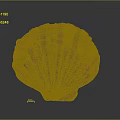 Large Brown Fan Shaped Shell With Textured Surface And Natural Patterns