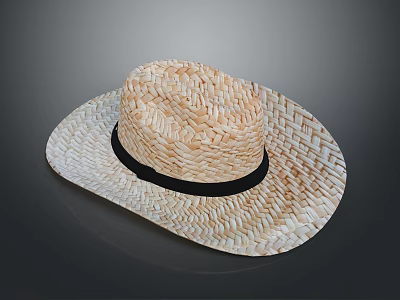 Natural Woven Straw Hat With Black Band For Casual Sun Protection 3d model
