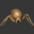 Shiny Golden Spider Sculpture With Metallic Body And Detailed Legs On Reflective Surface