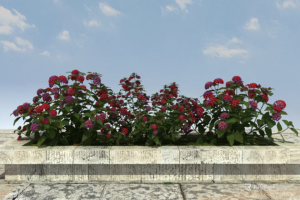 Abundant Red and Purple Hydrangeas in Stone Flower Bed with Blue Sky and White Clouds 3d model 
