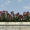 Abundant Red and Purple Hydrangeas in Stone Flower Bed with Blue Sky and White Clouds
