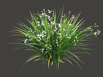 Vibrant Green Shrub Featuring Lush Foliage Small White Flowers And Long Leaves 3d model