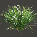 Vibrant Green Shrub Featuring Lush Foliage Small White Flowers And Long Leaves