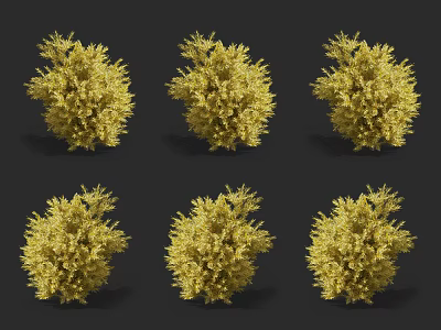 Vibrant Yellow Shrubs Display Different Forms Isolated On Dark Background 3d model