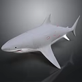 White Shark With Red Markings 3D Render On Dark Gradient Background