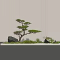 Indoor Landscape Design With Pine Tree Rocks Moss And Ferns Against Striped Wall