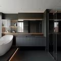 Modern Bathroom Interior Design With White Bathtub Black Vanity And Glass Shower