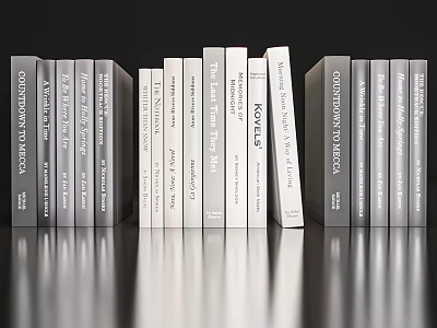 Gray And White Books Neatly Arranged With Various Heights Modern 3d model