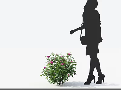 Shrub With Pink Flowers Approached by Silhouette of Woman in High Heels Carrying Bag 3d model