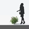 Shrub With Pink Flowers Approached by Silhouette of Woman in High Heels Carrying Bag