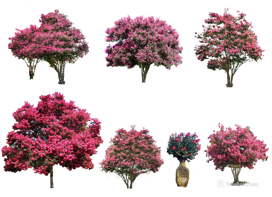 Colorful Flowering Trees With Pink Red Purple Blooms And Varied Shapes 3d model 